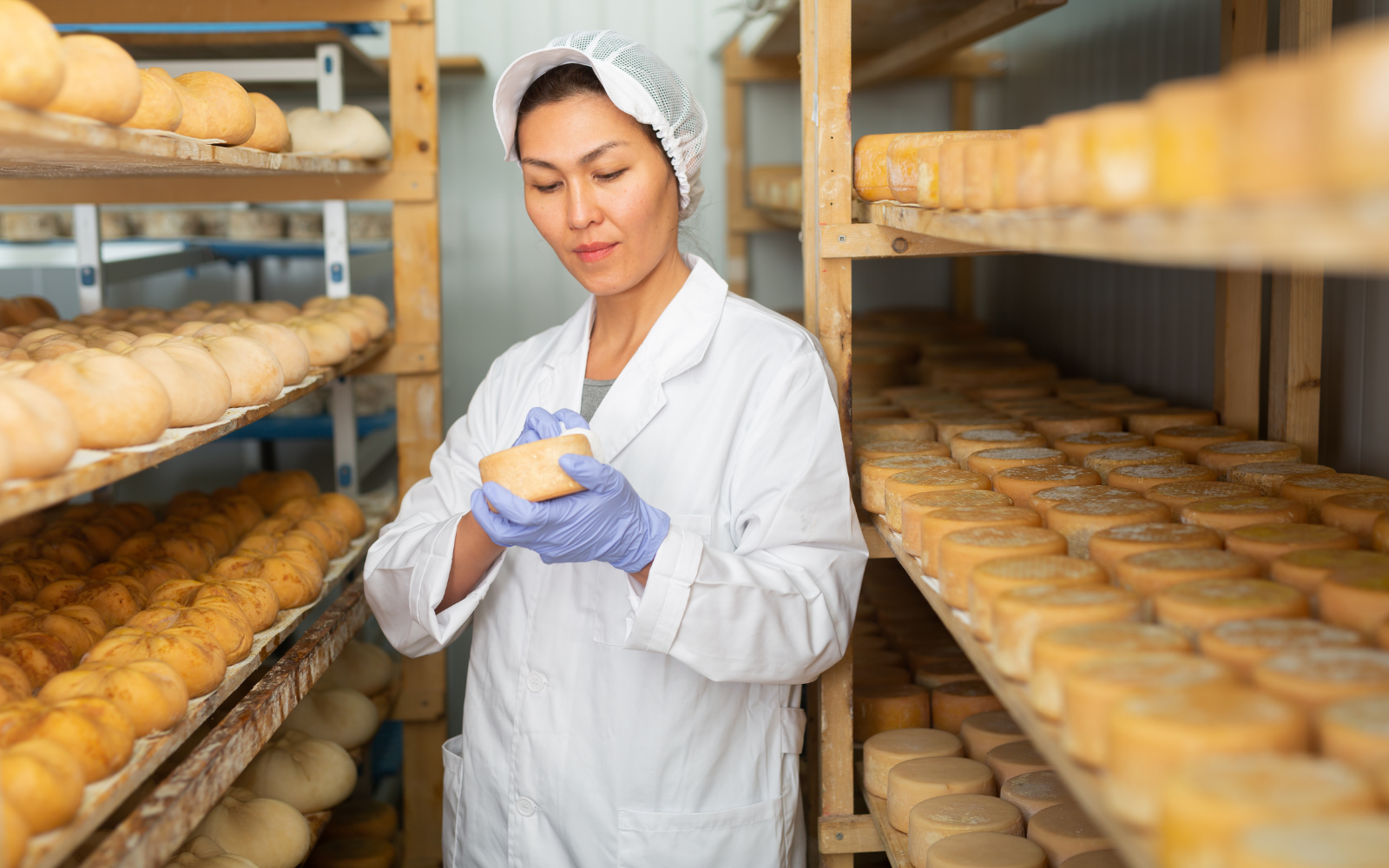 Por que o futuro da cadeia do leite depende de integração técnica entre laticínios, produtores e tecnologia - Grupo Origen - Mais Leite, Mais Quailidade, Mais rentabilidade